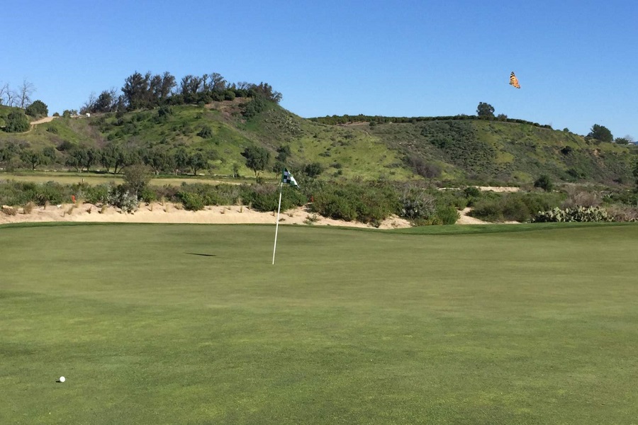 Rustic Canyon Golf Course: Hole #6 Green