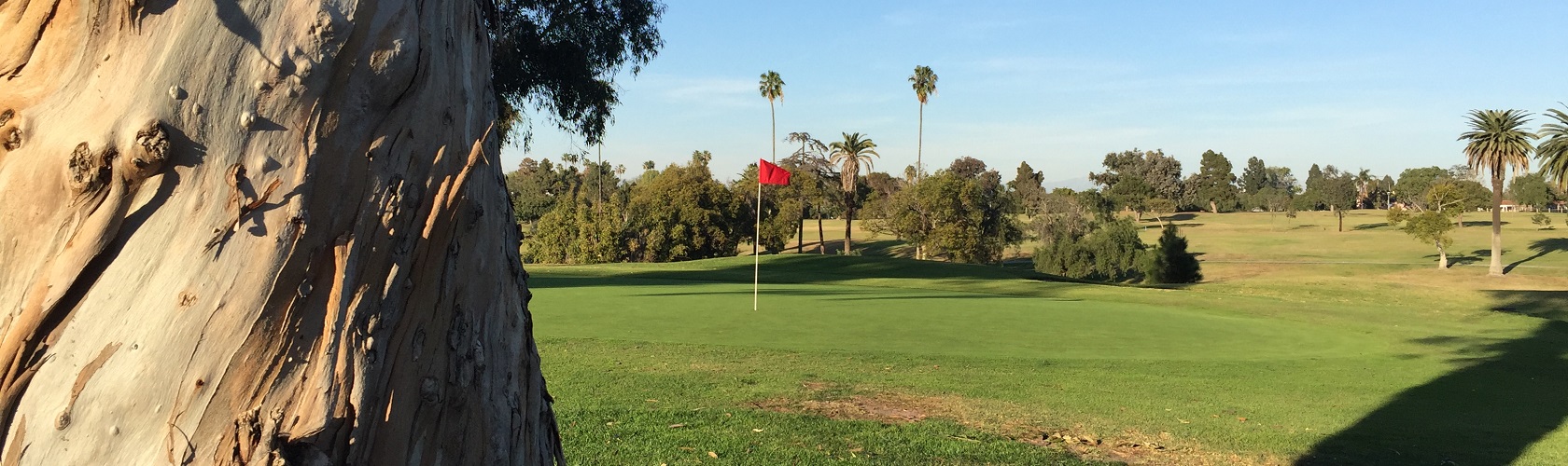 Recreation Park Golf Course 18 Review & Info GolfGreatly