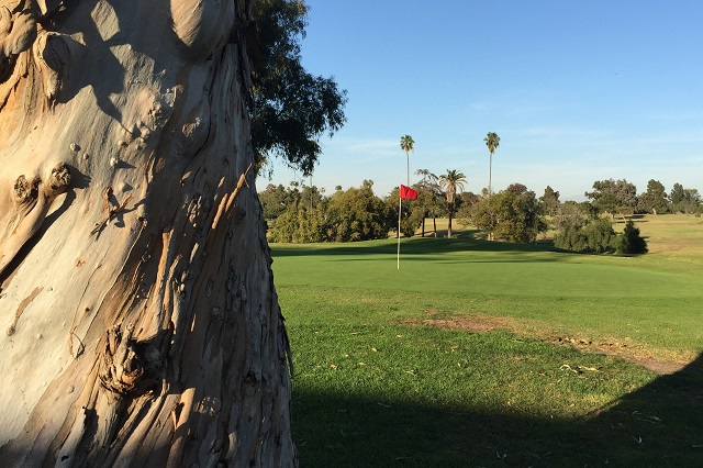 Recreation Park Golf Course 18: Hole #13 Green