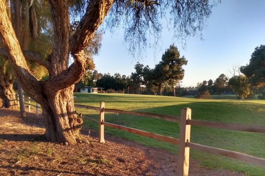 Recreation Park Golf Course 18: Hole #7 Green