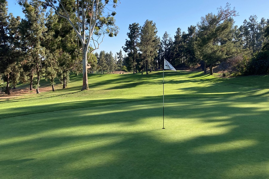 Roosevelt Golf Course: Hole #3 Green