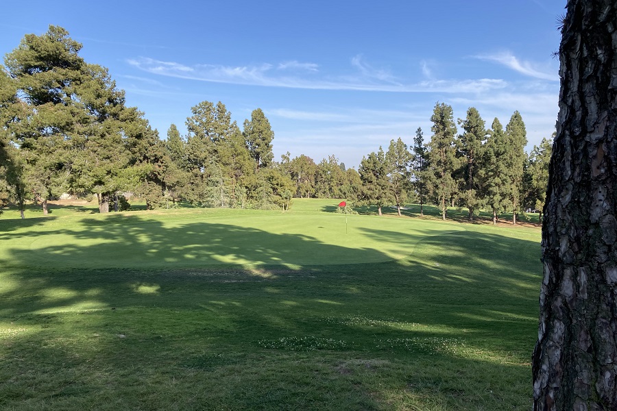 Roosevelt Golf Course: Hole #2 Green
