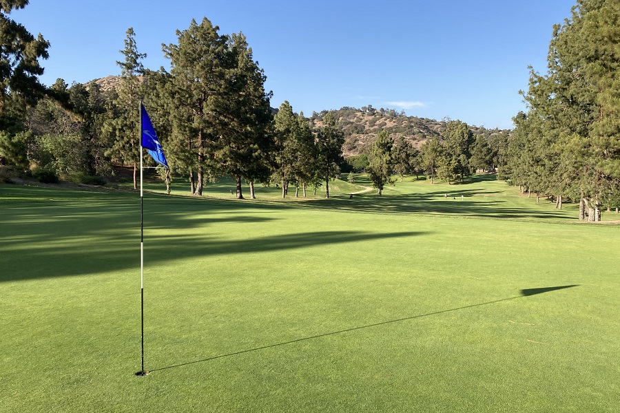 Roosevelt Golf Course: Hole #4 Green