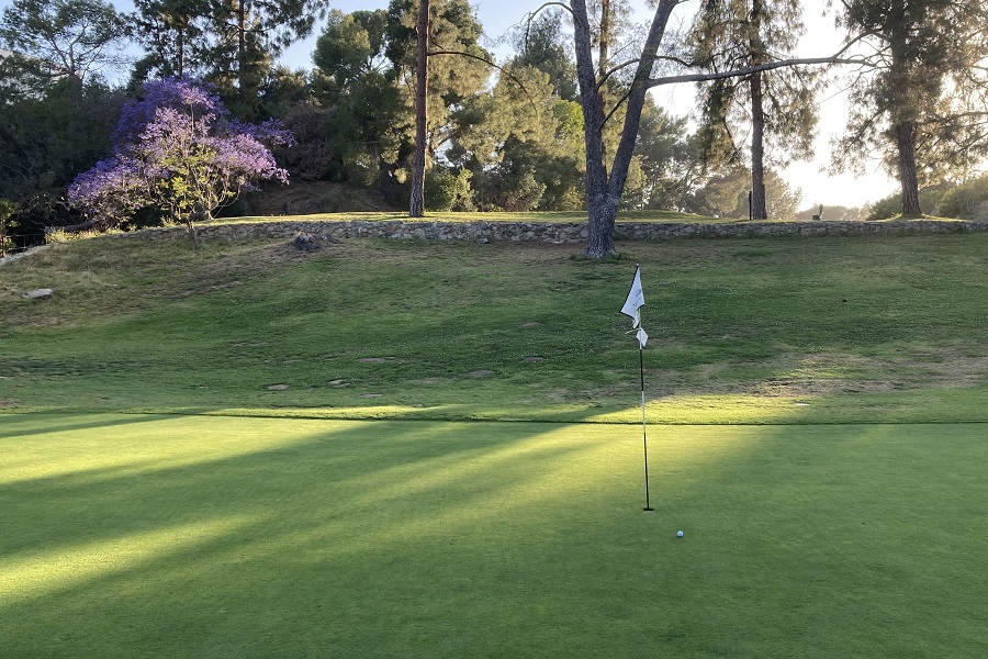 Roosevelt Golf Course: Hole #6 Green