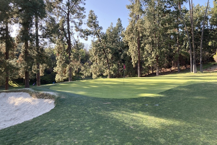 Roosevelt Golf Course: Hole #8 Green