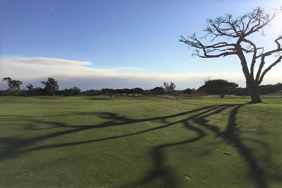 Olivas Links Golf Course: Hole #10 Fairway