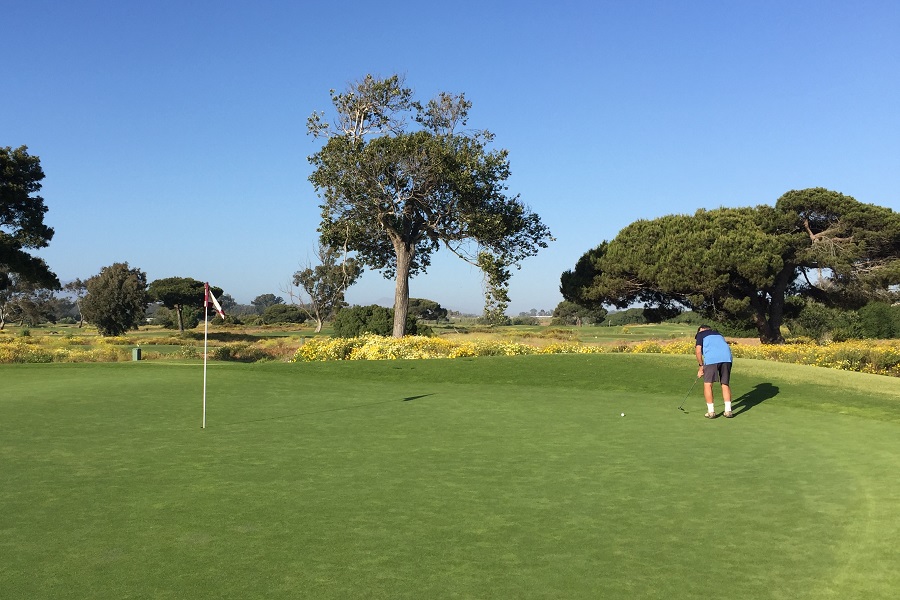 Olivas Links Golf Course: Hole #15 Green