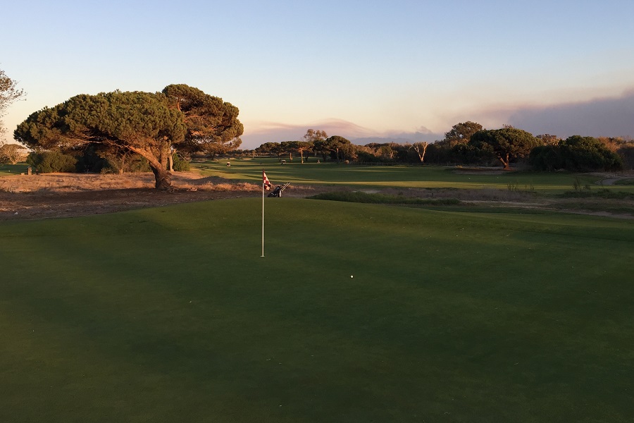 Olivas Links Golf Course: Hole #15 Green