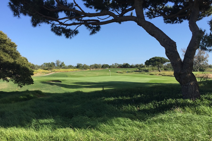 Olivas Links Golf Course: Hole #17 Green