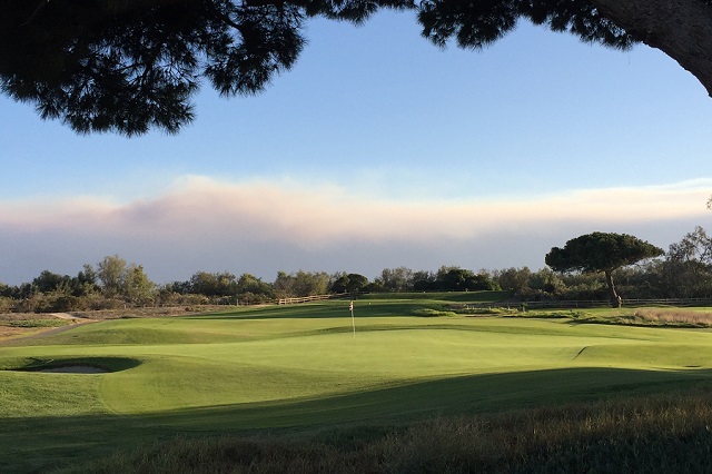 Olivas Links Golf Course: Hole #17 Green