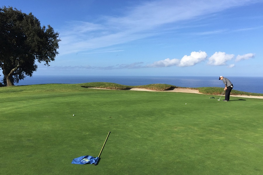 Los Verdes Golf Course: Hole #15 Green