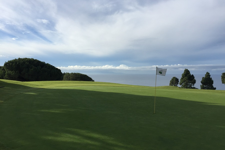 Los Verdes Golf Course: Hole #17 Green