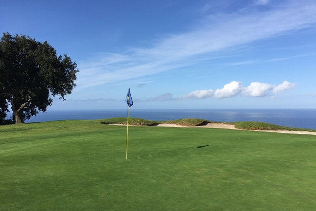 Los Verdes Golf Course: Hole #15 Green