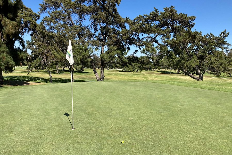 Santa Anita Golf Course: Hole #5 Green