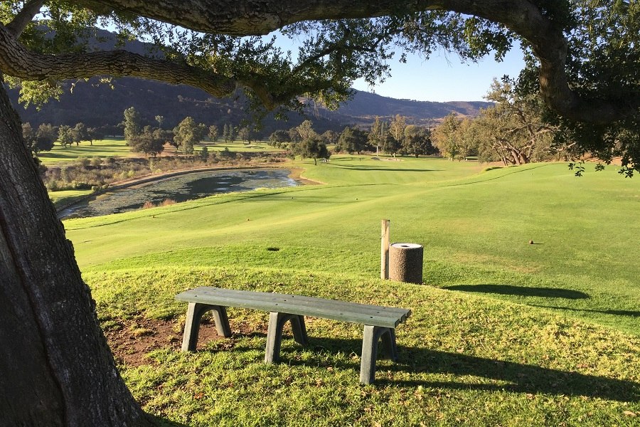 Soule Park Golf Course: Hole #1 Tee