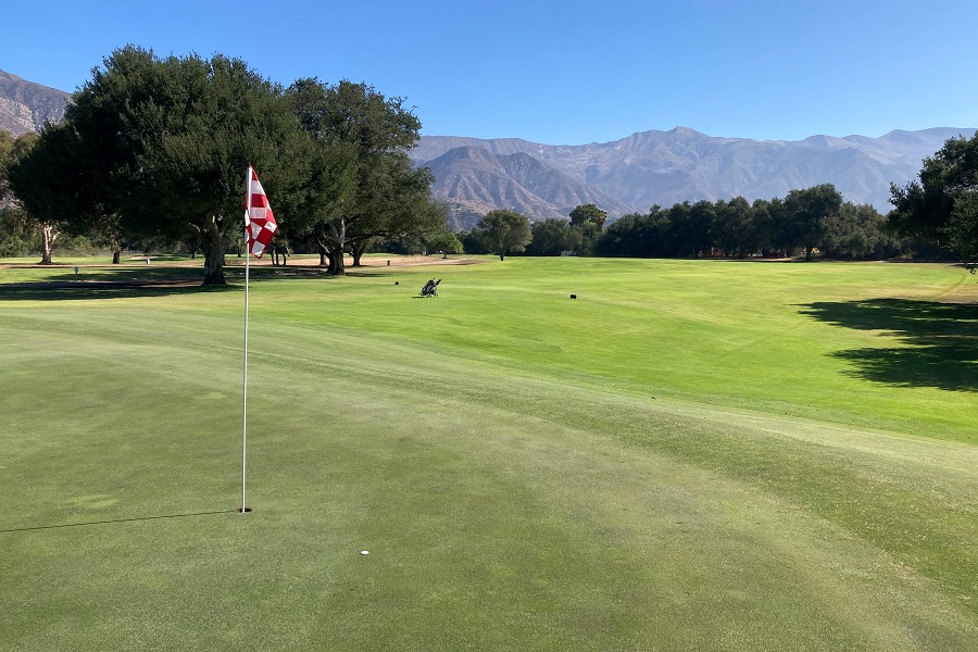Soule Park Golf Course: Hole #12 Green