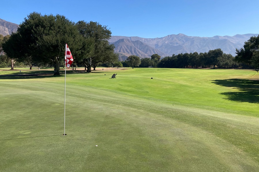 Soule Park Golf Course: Hole #12 Green