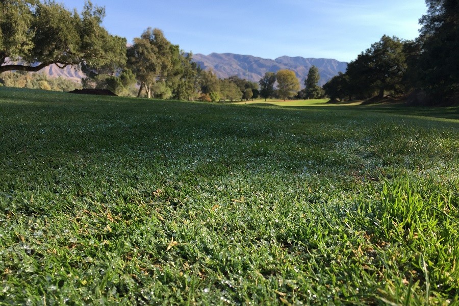 Soule Park Golf Course: Hole #4 Fairway