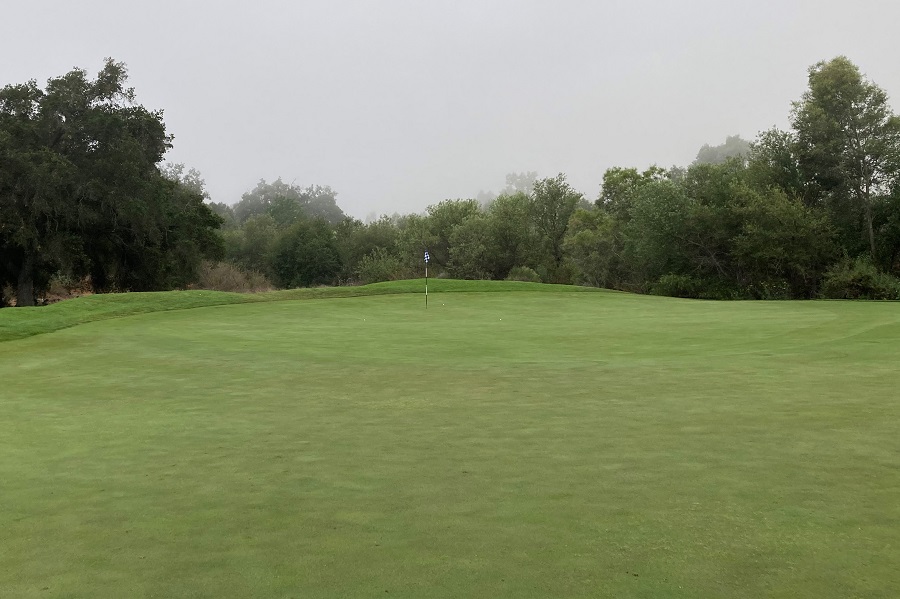 Soule Park Golf Course: Hole #5 Green