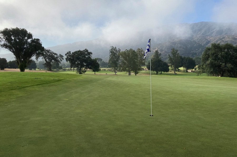 Soule Park Golf Course: Hole #8 Green