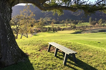 Soule Park Golf Course: Hole #1 Tee